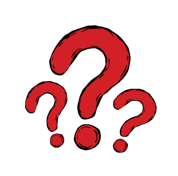 What kind of milk do you usually drink and why do you prefer it?