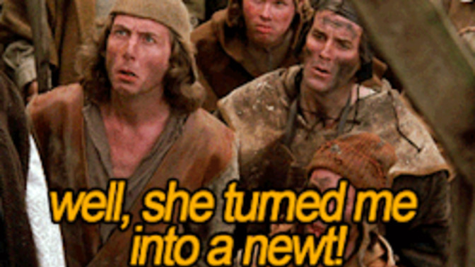 Is it wrong to turn someone into a newt?