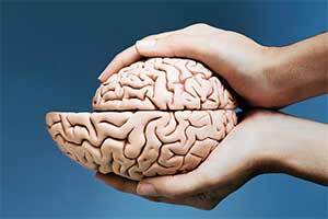 Shrinking brain. 🧠😔