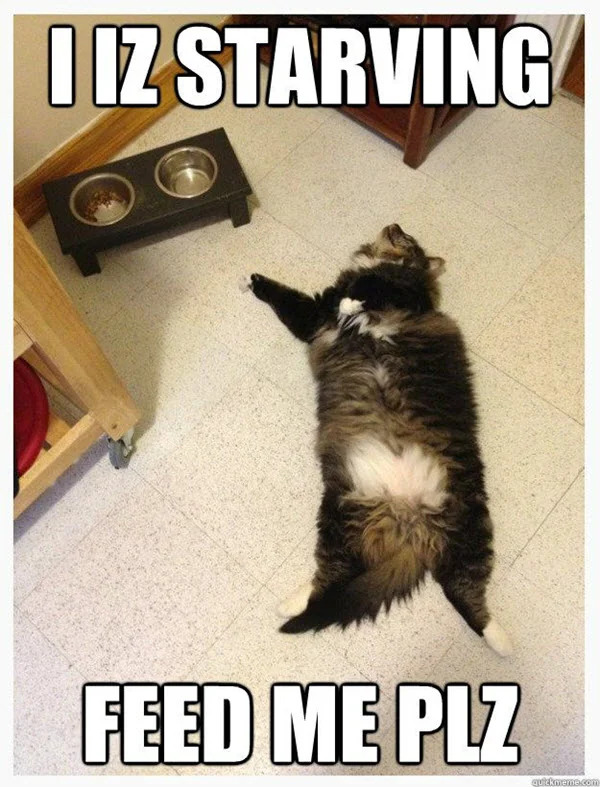 How hungry are you currently?