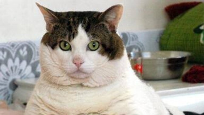 What was the first thing you ate today and why?