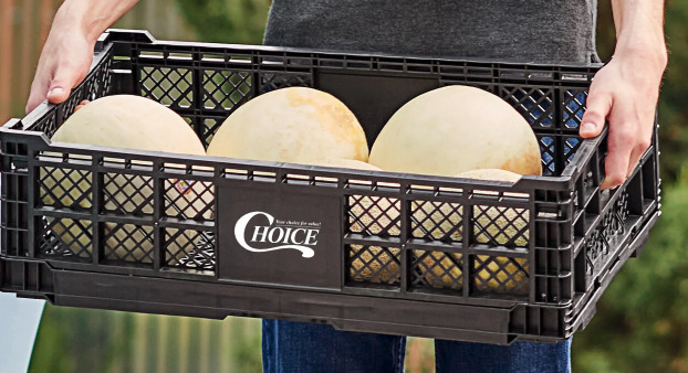 Collapsible produce crate. 