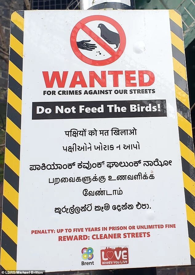 If a sign isnt in your language can you ignore it?