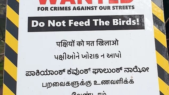 If a sign isn't in your language can you ignore it?