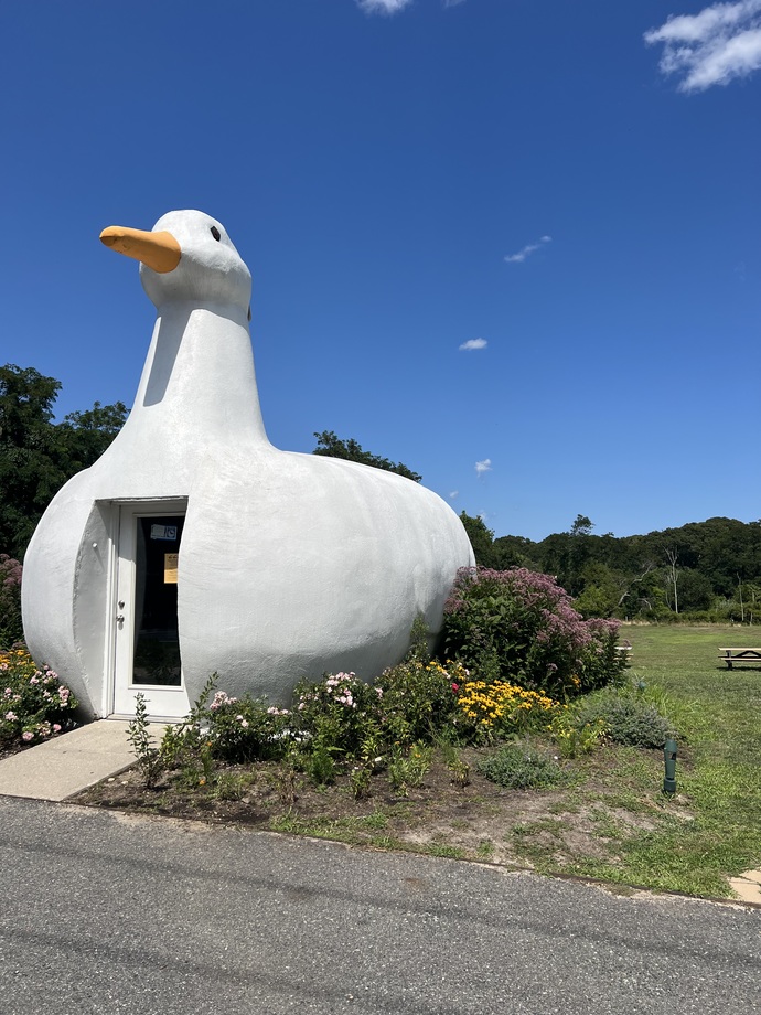 Would you rather be a duck-sized donkey or a donkey-sized duck?