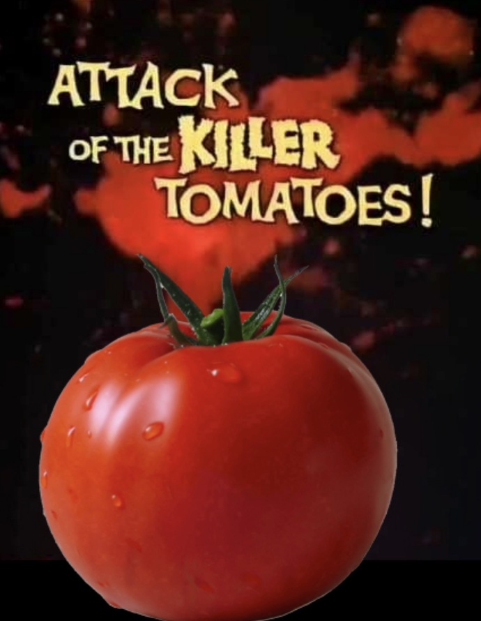 How do you think the world will end?