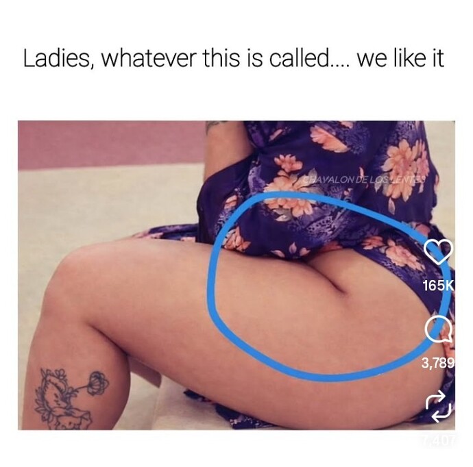 What do you call that line when a woman with thick thighs sits down?