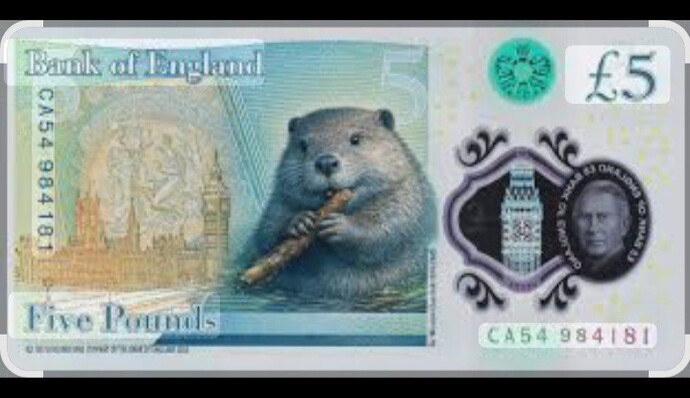 Is it OK to put a Beaver on a Bank Note?
