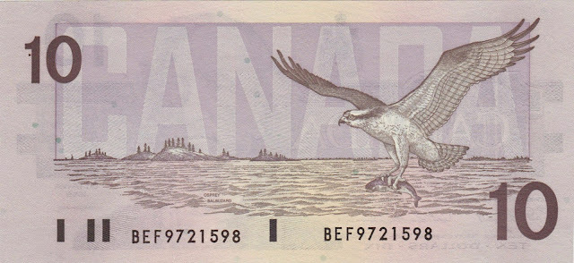 Is it OK to put a Beaver on a Bank Note?