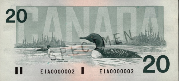 Is it OK to put a Beaver on a Bank Note?