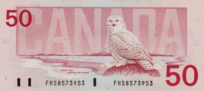 Is it OK to put a Beaver on a Bank Note?