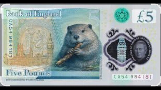 Is it OK to put a Beaver on a Bank Note?