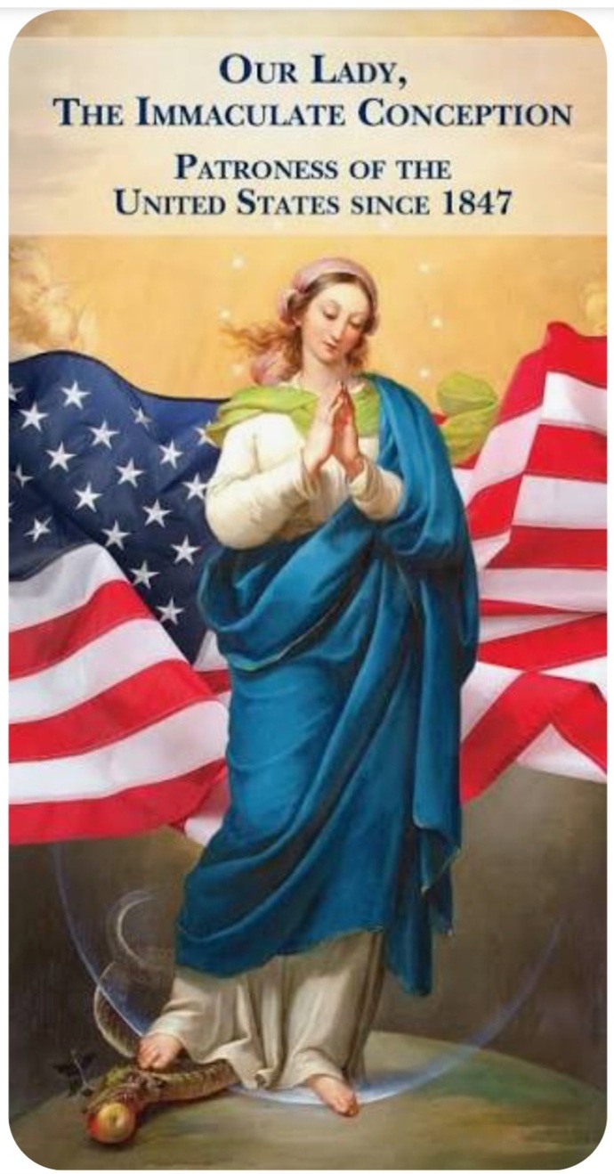 Do You Celebrate The Patron Day Of The United States On The 8th December The Blessed Virgin Mary Day?