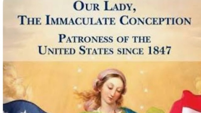 Do You Celebrate The Patron Day Of The United States On The 8th December The Blessed Virgin Mary Day?