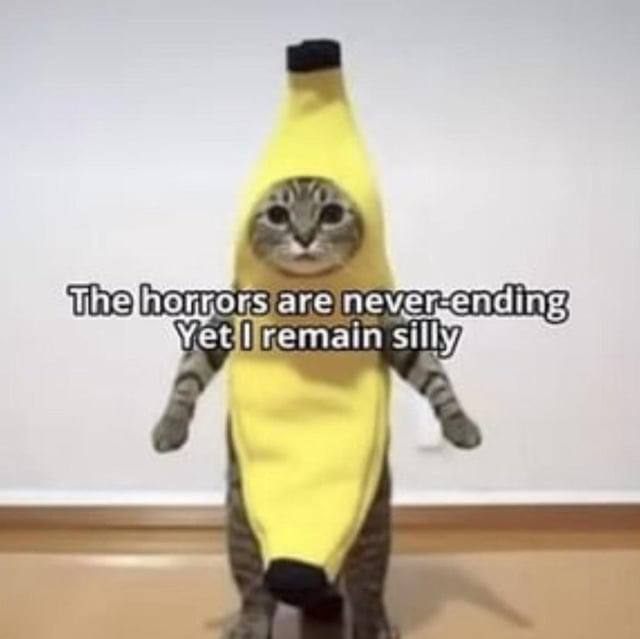 If bananas really go extinct, will we actually miss them?