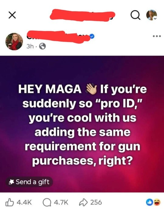 Why do some on the left claim buying a gun is easier than voting?