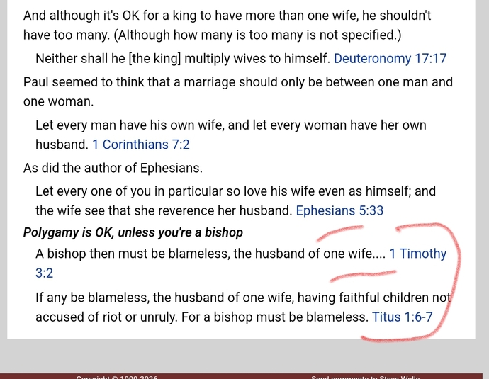 Does Roman anti‑polygamy law explain the New Testament’s “one wife” wording?