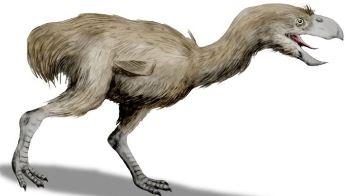 What if giant chickens roamed the Earth?