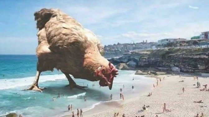 What if giant chickens roamed the Earth?