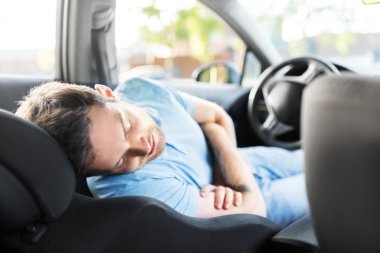 Have you ever taken a nap on the side of the road before?