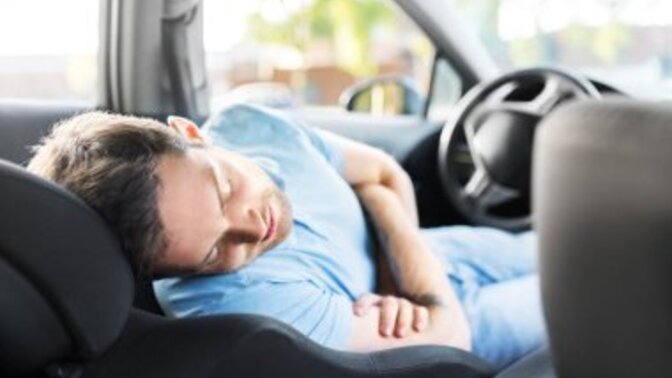 Have you ever taken a nap on the side of the road before?