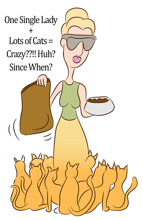 Why do YOU think a lot of men on this site like to throw out the 'cat lady' stigma on women here?