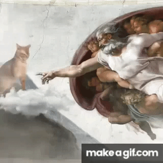 Why do YOU think a lot of men on this site like to throw out the 'cat lady' stigma on women here?