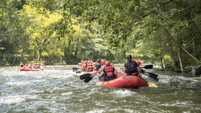 What is your favorite springtime activity and why?