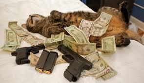 You win $100 million dollars but your pet just died. you learned both these things at the same time. how would you feel in this moment?