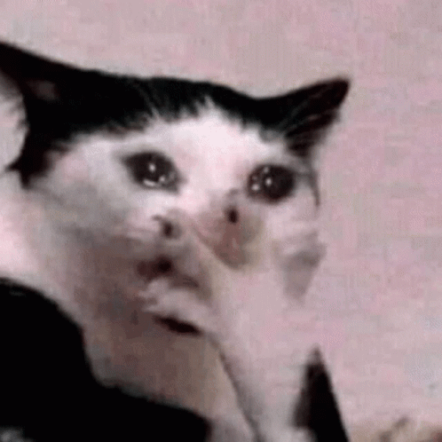You win $100 million dollars but your pet just died. you learned both these things at the same time. how would you feel in this moment?