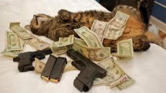 You win $100 million dollars but your pet just died. you learned both these things at the same time. how would you feel in this moment?