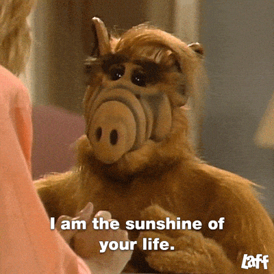 Do you remember the TV show, ALF?