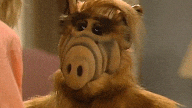 Do you remember the TV show, ALF?