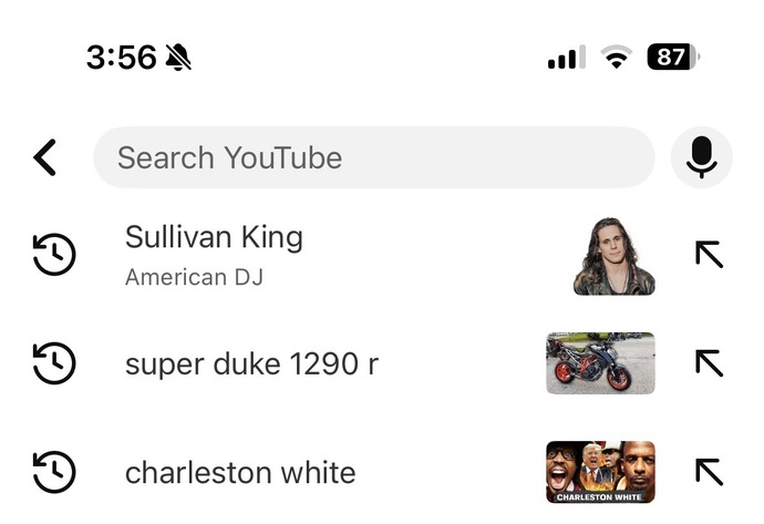 What was your last YouTube search (no cheating)?