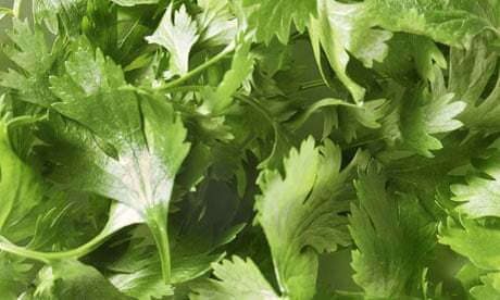 Do YOU like Parsley?