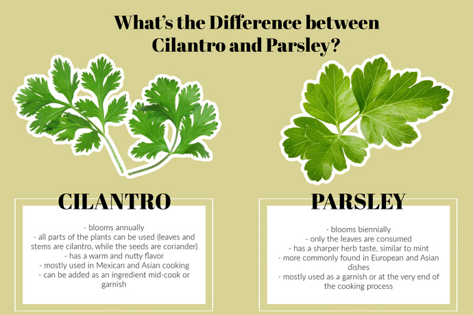 Do YOU like Parsley?