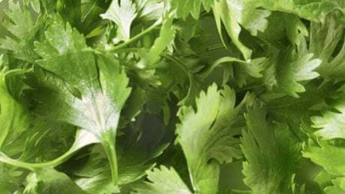 Do YOU like Parsley?