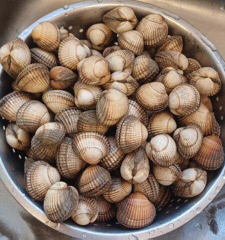 Would you eat my cockle and egg lunch?