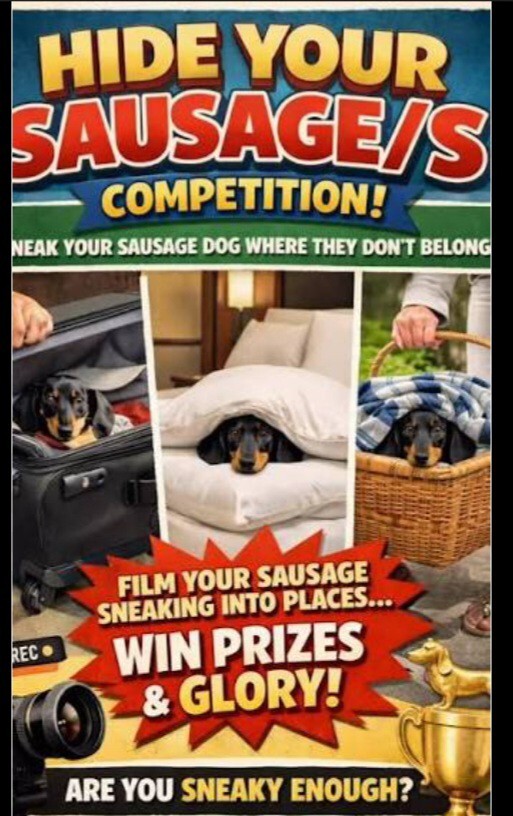 When you hear play hide the sausage what springs to mind?