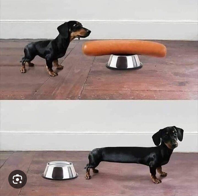 When you hear play hide the sausage what springs to mind?