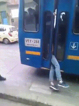 Do you actually love bus drivers or just appreciate them?