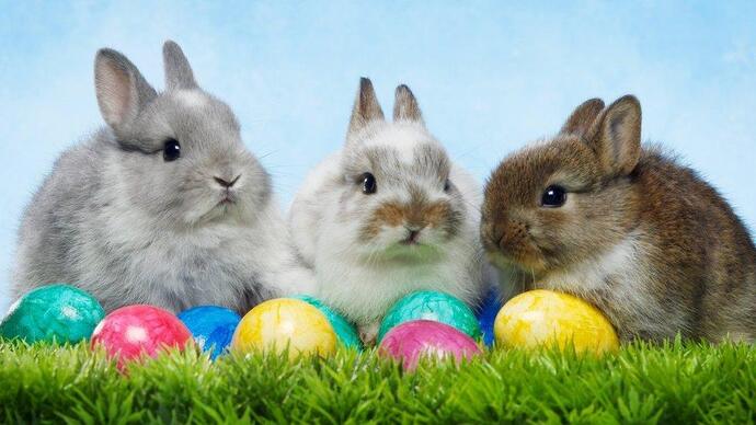 Are you looking forward to Easter?