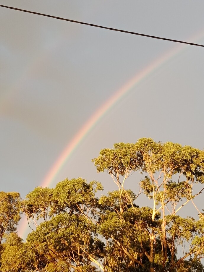 Do Smartphones Make Everyone Feel Like an Amateur Photographer?