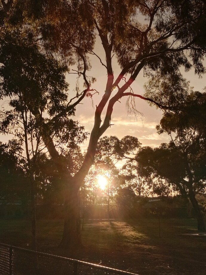Do Smartphones Make Everyone Feel Like an Amateur Photographer?