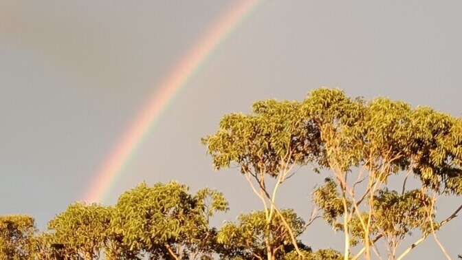 Do Smartphones Make Everyone Feel Like an Amateur Photographer?