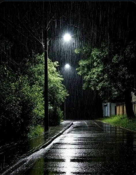What emotions do you feel when you look at this picture?