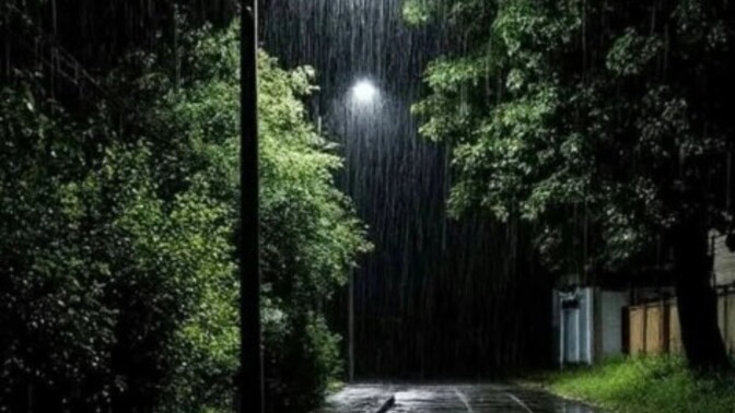 What emotions do you feel when you look at this picture?