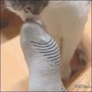 What’s the Best smell you’ve ever smelled?