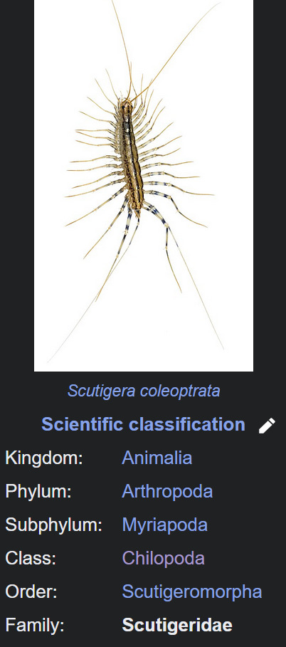 What is your least favorite animal, and why?