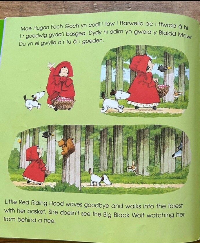 In Little red riding hood was the wolf actually bad?